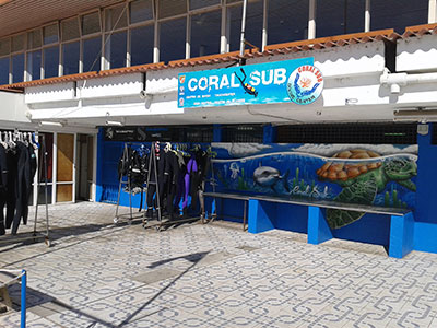 Coral Sub