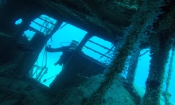 Coral Sub TÃ©nÃ©rife site de plongÃ©e El Meridian