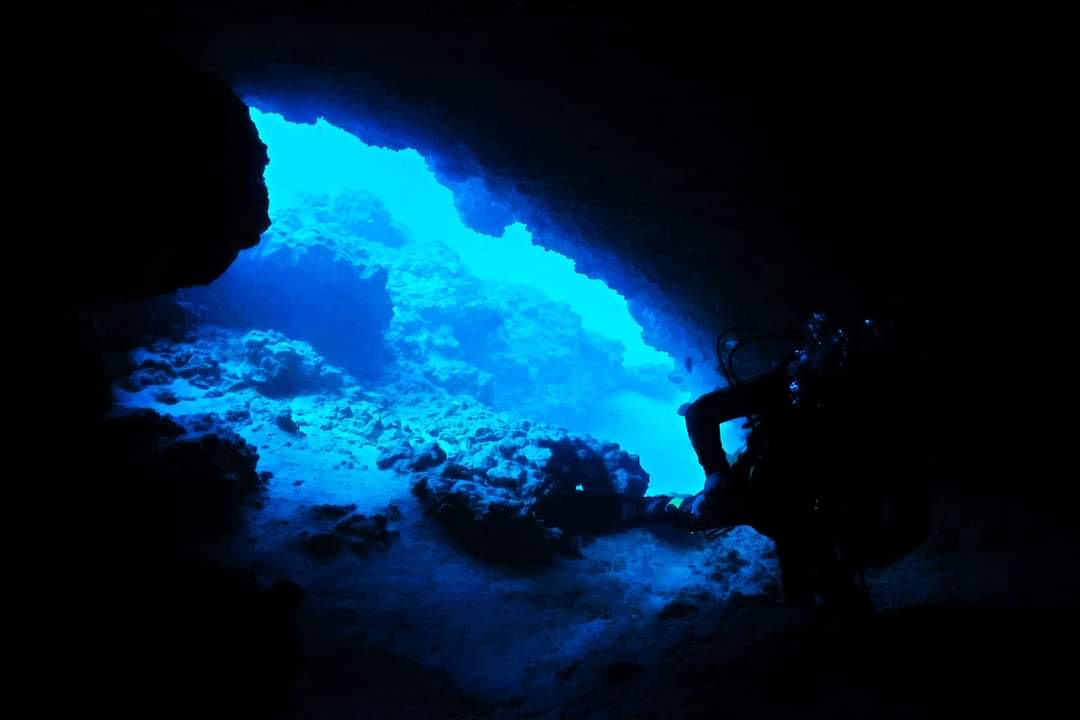 Plongée en grotte à Tenerife
