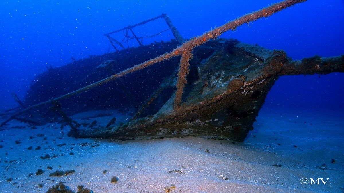 Galerie CoralSub