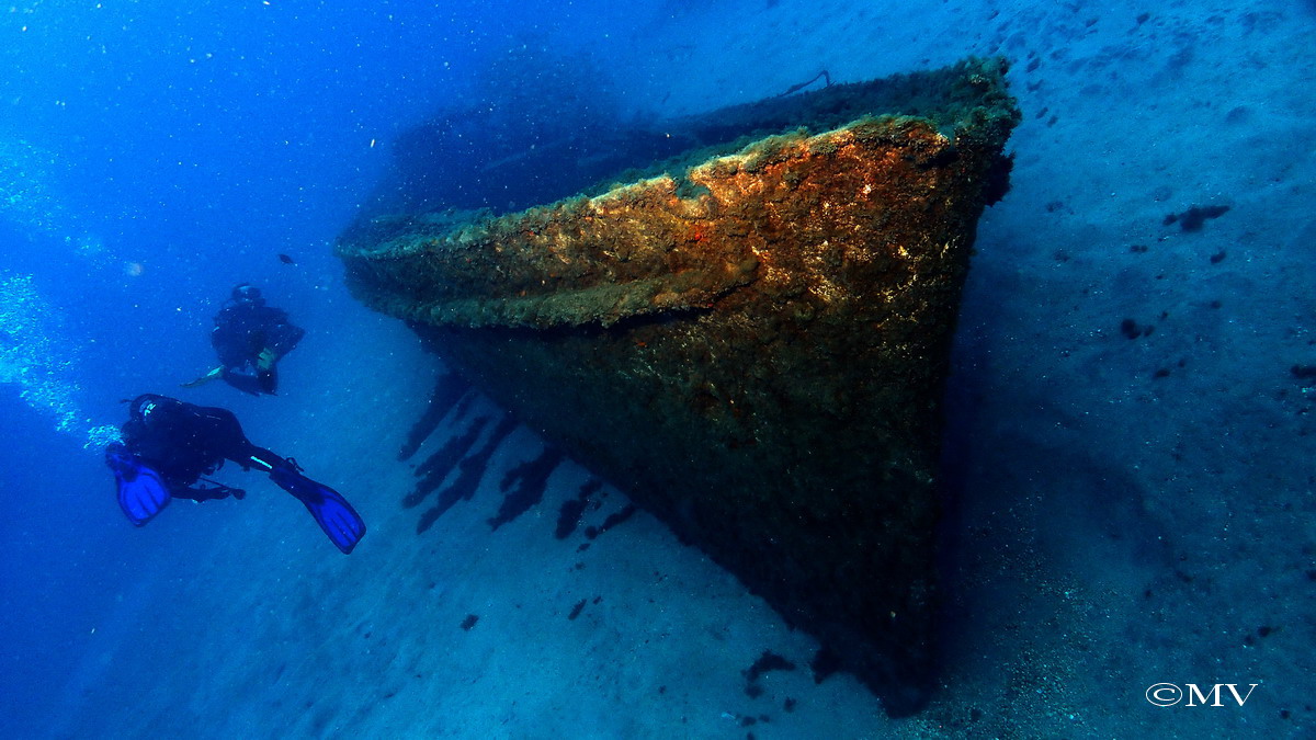 Galerie CoralSub