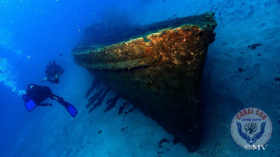 Galerie CoralSub